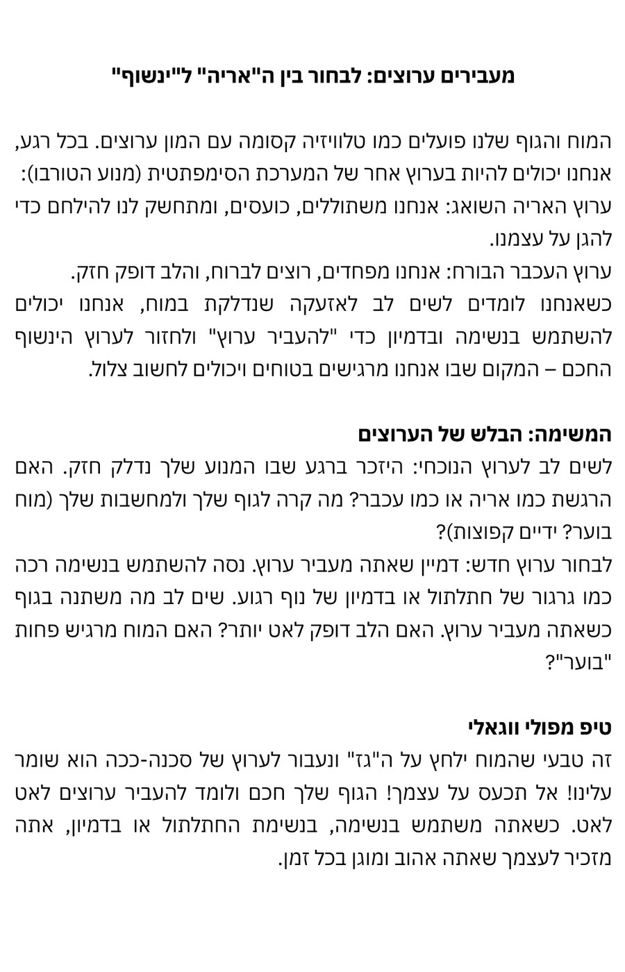 אריה או עכבר - כרטיסיה 10