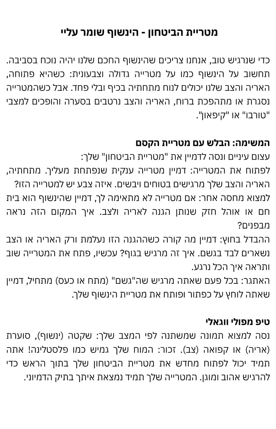 חיבור לרעיון ולביטחון - כרטיסיה 3